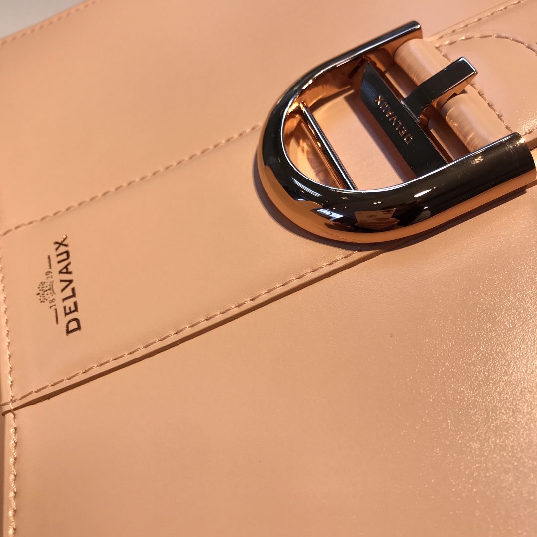 델보 브리앙 박스백 미듐